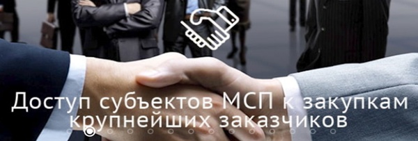 Обеспечение доступа субъектов МСП к закупкам крупнейших заказчиков