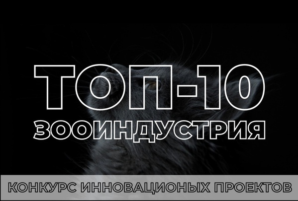 Конкурс стартапов «Топ-10 инновационных компаний в зооиндустрии»