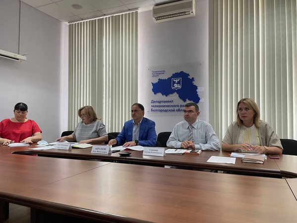 В департаменте экономического развития области состоялось совещание в формате видеоконференции с АО «Корпорация «МСП» по вопросу имущественной поддержки субъектов МСП