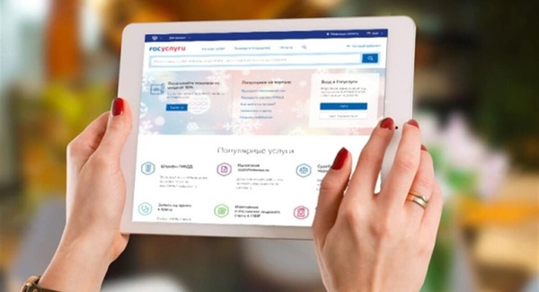 Выписки из ЕГРН можно получить на портале Gosuslugi.ru