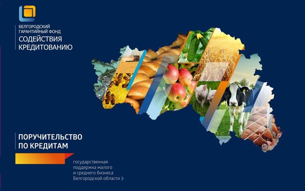 Двойная господдержка предпринимателей и «самозанятых» граждан